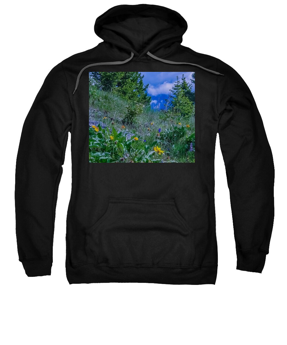  Sweatshirt featuring the photograph Spark of Elation by Dan Hassett