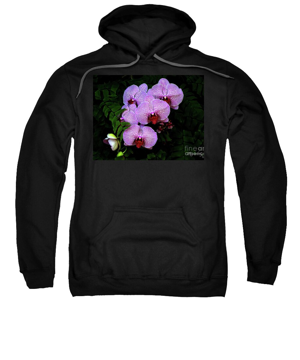 Nature Sweatshirt featuring the photograph Spotted Orchids by Mariarosa Rockefeller
