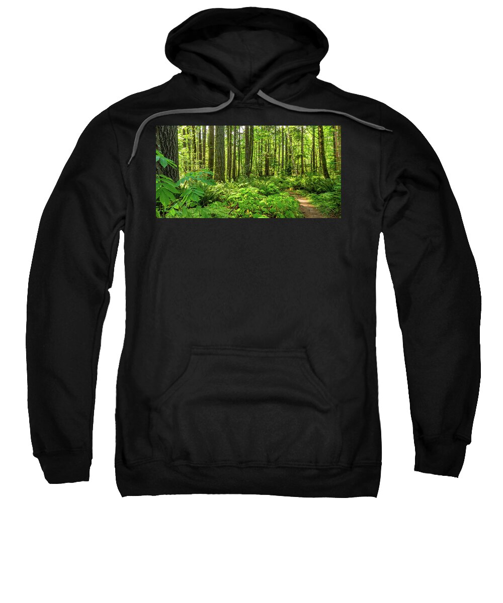 Landscapes Sweatshirt featuring the photograph Stroll Among The Trees by Claude Dalley
