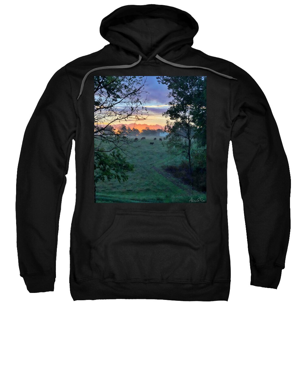 Cows Sweatshirt featuring the photograph Sunrise Breakfast by Andrea Platt