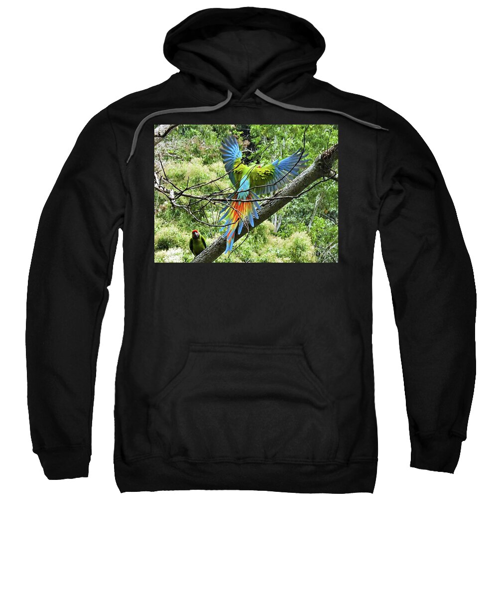 Parrots Sweatshirt featuring the photograph Wings and Tail,The Great Green Macaw by Leslie Struxness