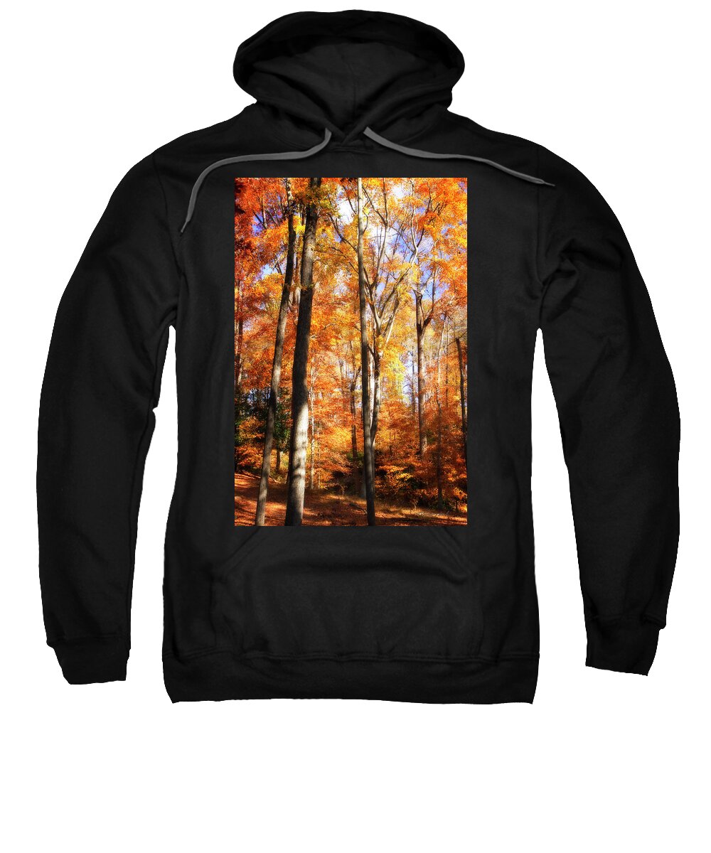Color Sweatshirt featuring the photograph Autumn Cathedral -1 #1 by Alan Hausenflock