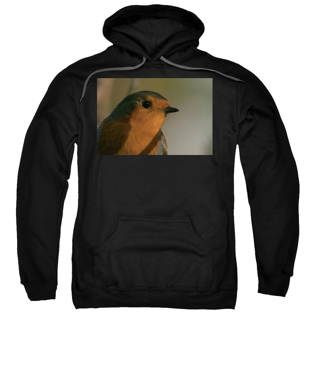 Robin Sweatshirt featuring the photograph Robin #1 by Wendy Cooper