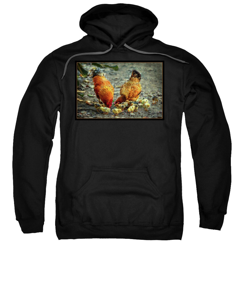 Family Sweatshirt featuring the digital art A Family of Chickens by Cindy Collier Harris