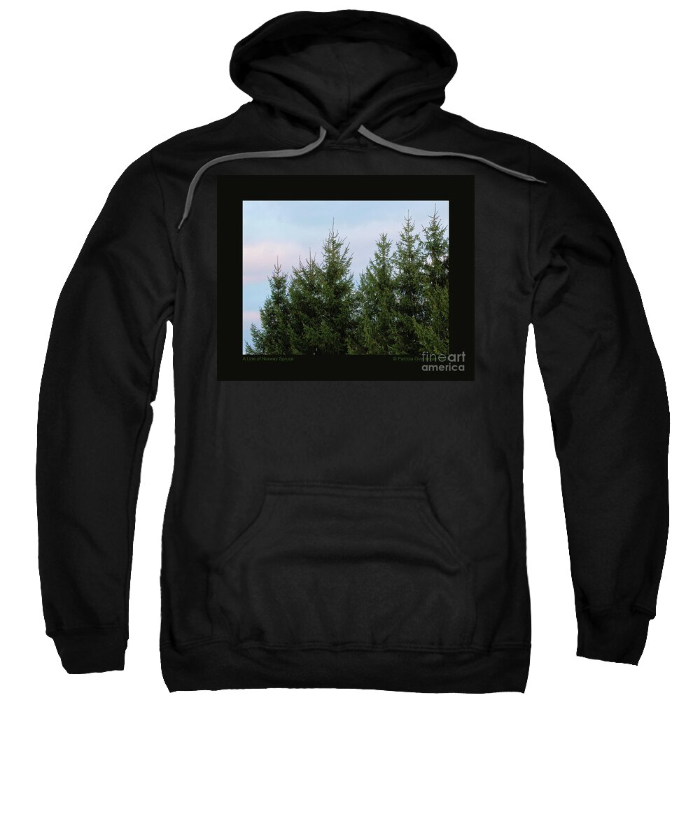 Tree Sweatshirt featuring the photograph A Line of Norway Spruce by Patricia Overmoyer