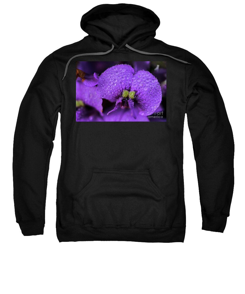 Hardenbergia Violacea Sweatshirt featuring the photograph A Wet Wanderer by Neil Maclachlan
