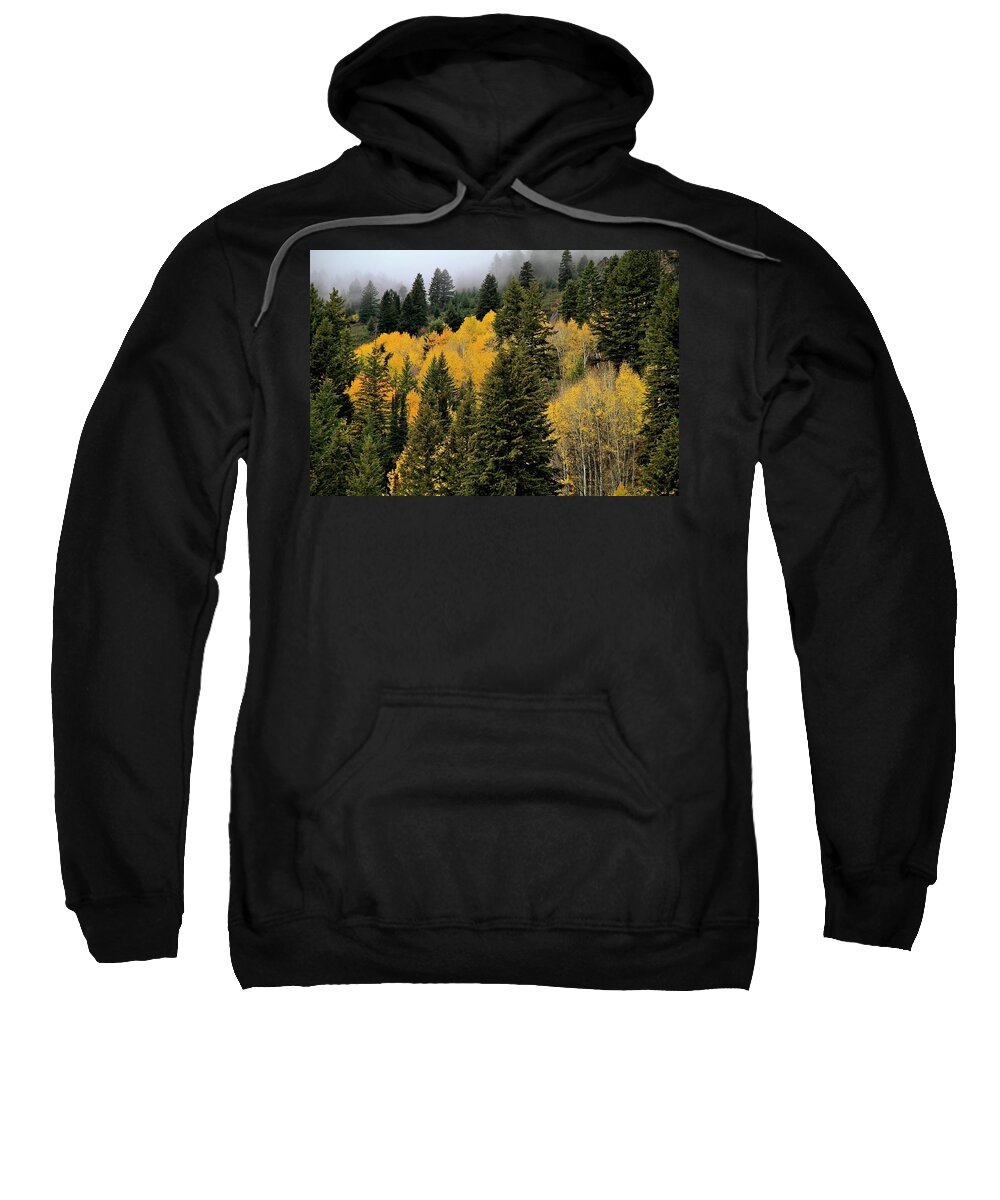 Owyhee Mountains Sweatshirt featuring the photograph Autumn Mist Owyhee Mountains by Ed Riche