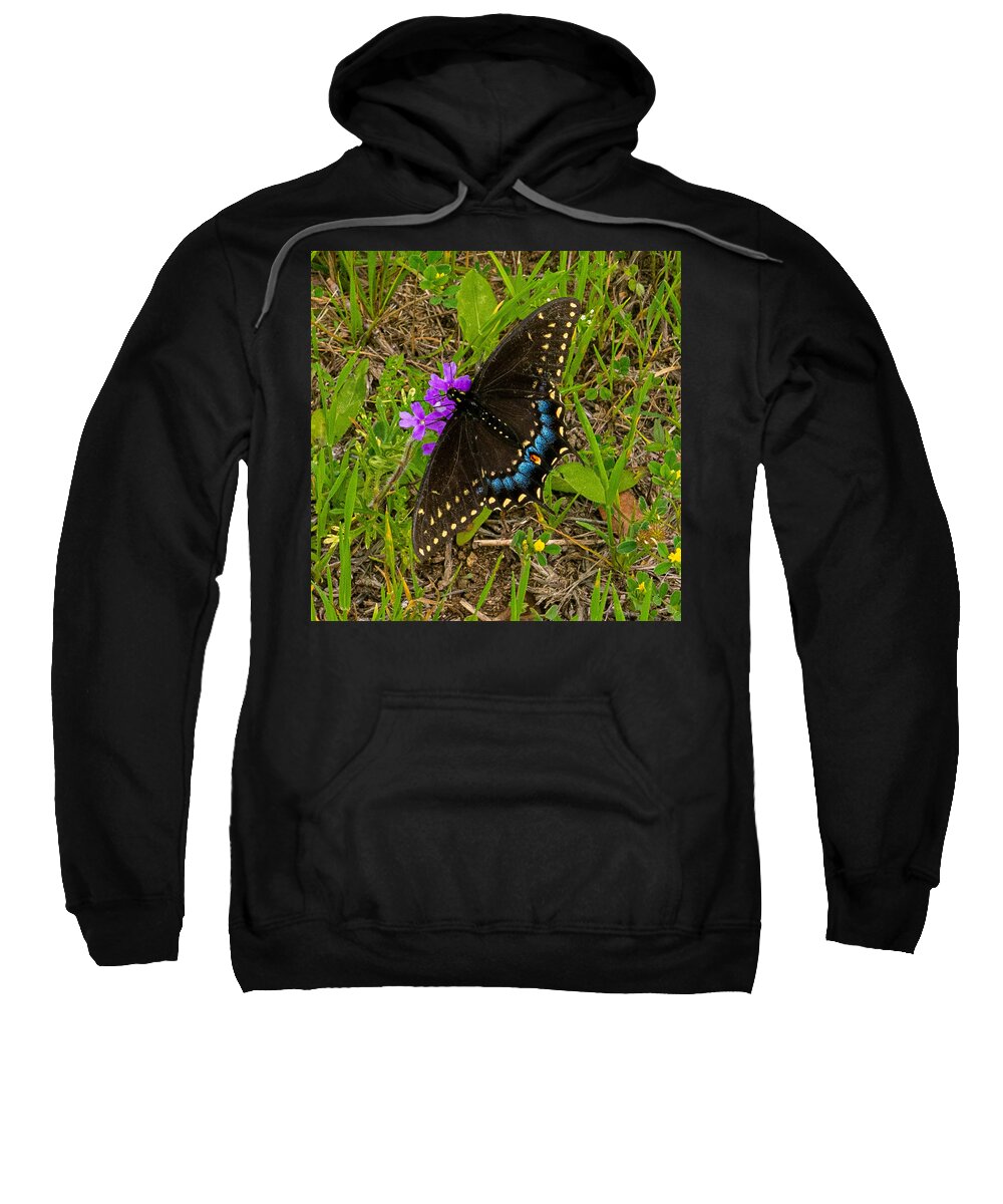 Butterfly Sweatshirt featuring the photograph Big Swallow Little Flower by Ivars Vilums