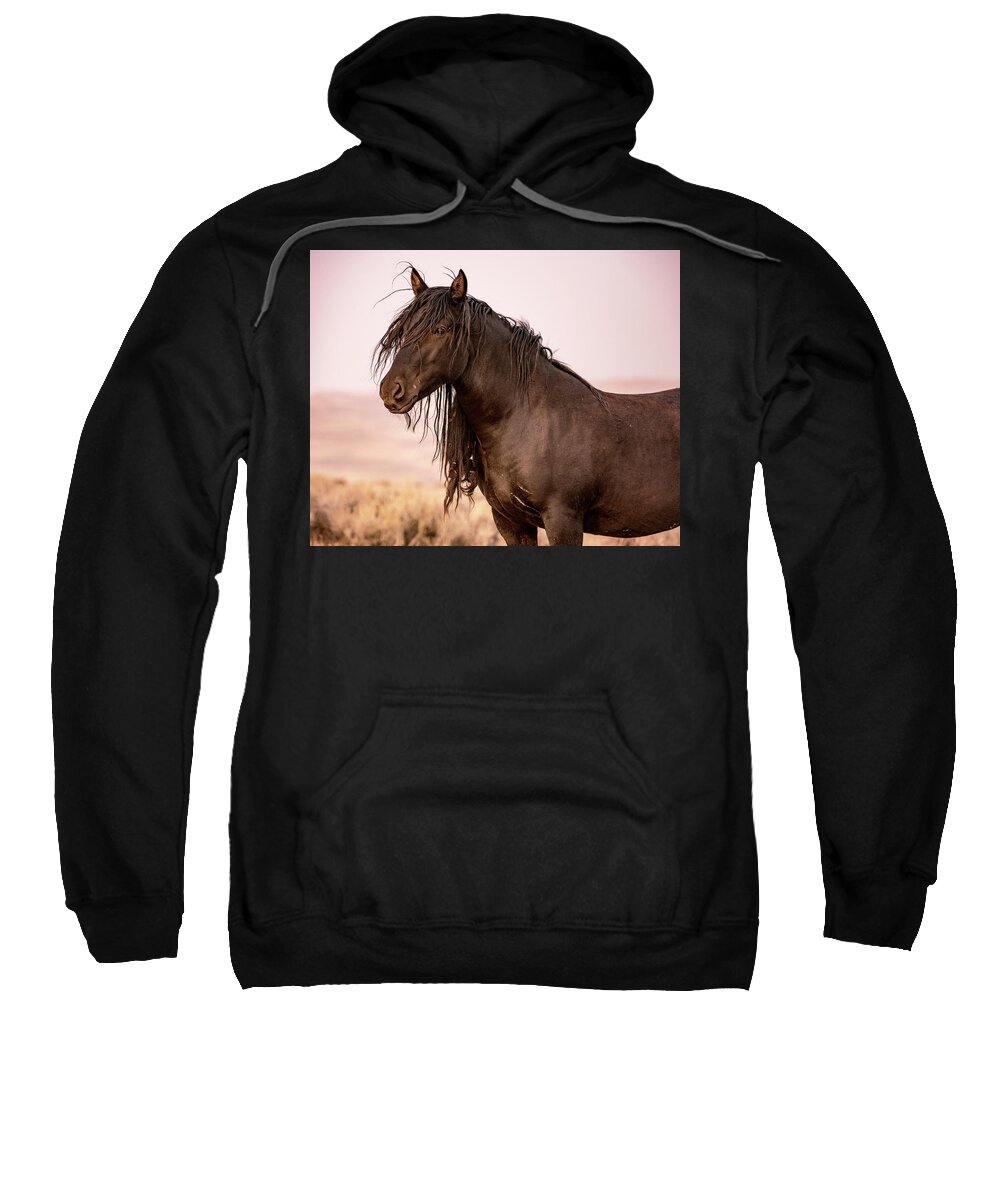 Mustang Sweatshirt featuring the photograph Black Beauty by Jen Britton