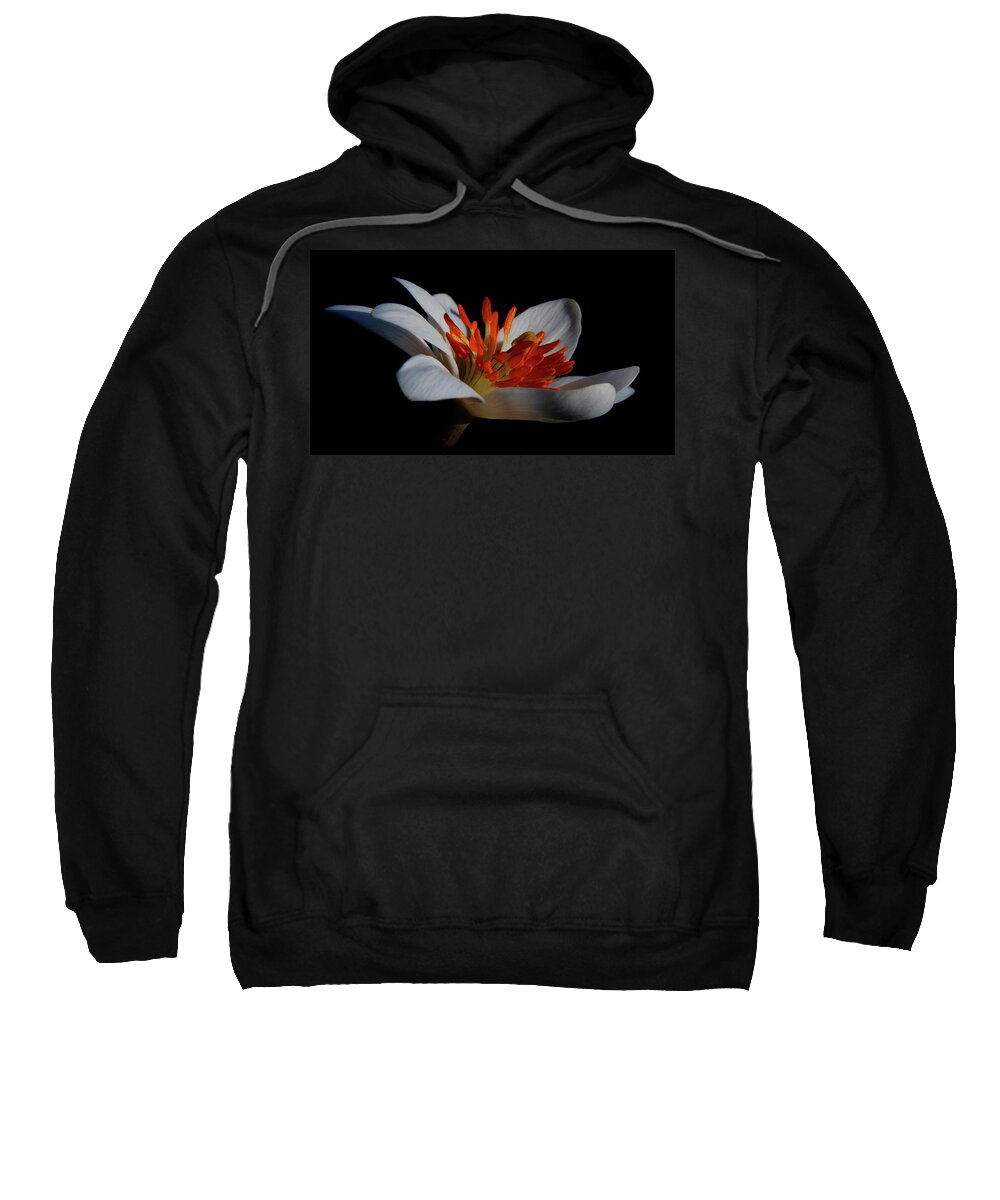 Flower Sweatshirt featuring the photograph Bloodroot Art by Patti Deters