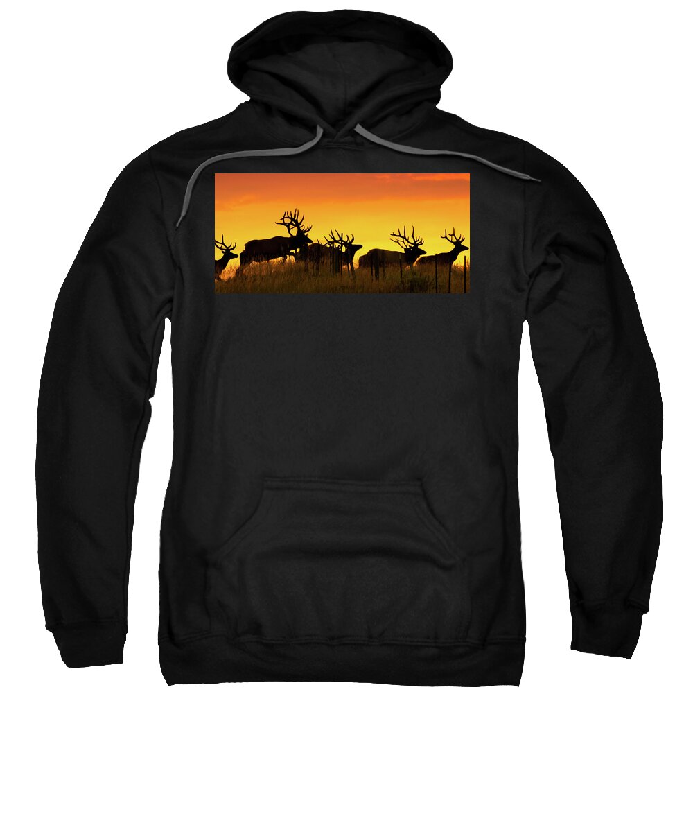 Elk Sweatshirt featuring the photograph Bull Elk Jumping Fence At Sunrise by Gary Beeler