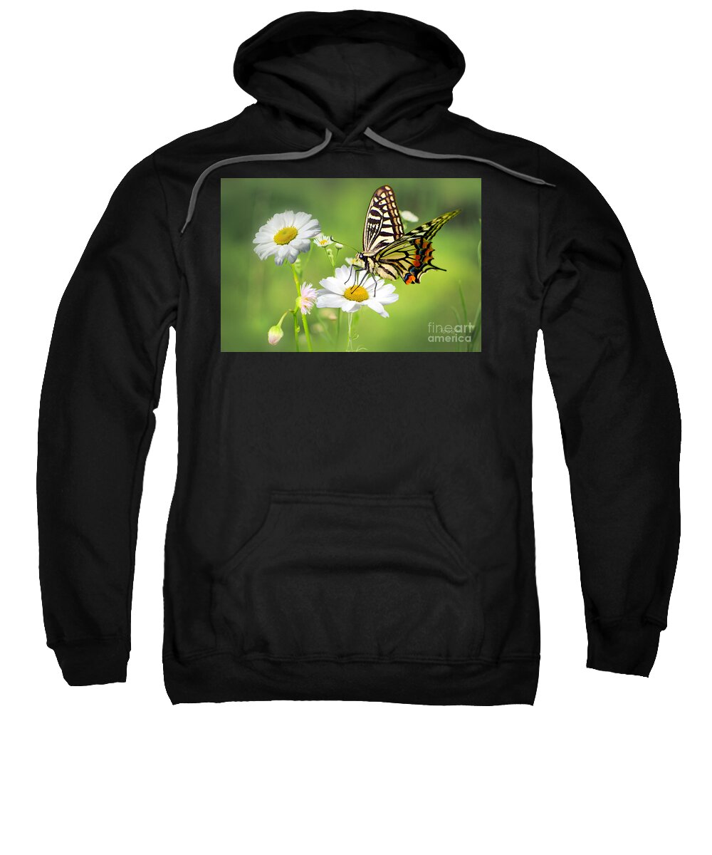 Eastern Tiger Swallowtail Butterfly Sweatshirt featuring the mixed media Butterfly on Daisy by Morag Bates