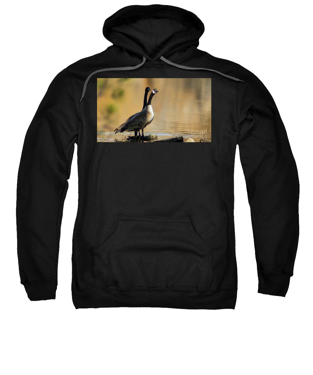 Jaws Sweatshirt featuring the photograph Canadian geese, El Dorado National Forest, California, U.S.A. by PROMedias US