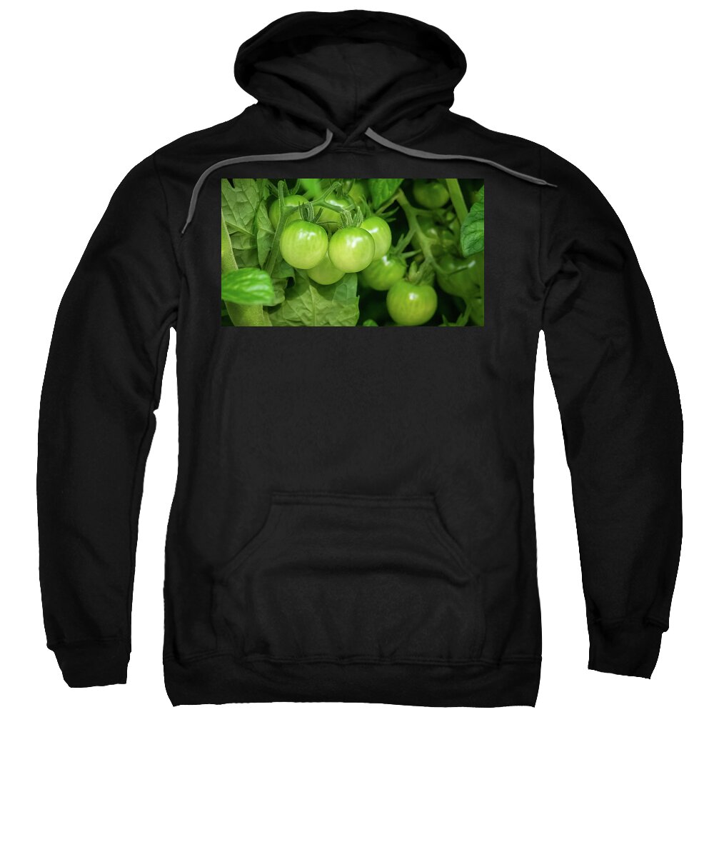 Vegetable Sweatshirt featuring the photograph Cherry Green by John Kirkland