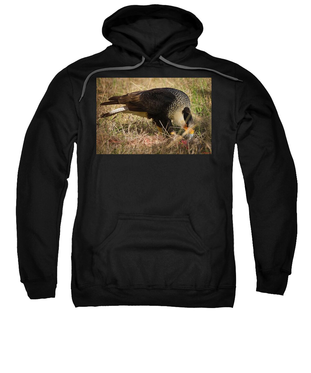 Hawk Sweatshirt featuring the photograph Crested Caracara With Prey by Rene Vasquez