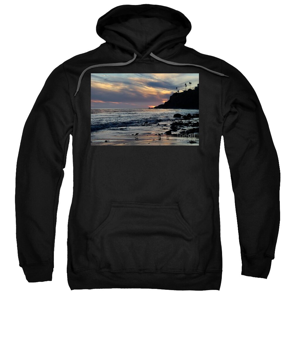 Birds Sweatshirt featuring the photograph Dinner Time on the Shore by Katherine Erickson