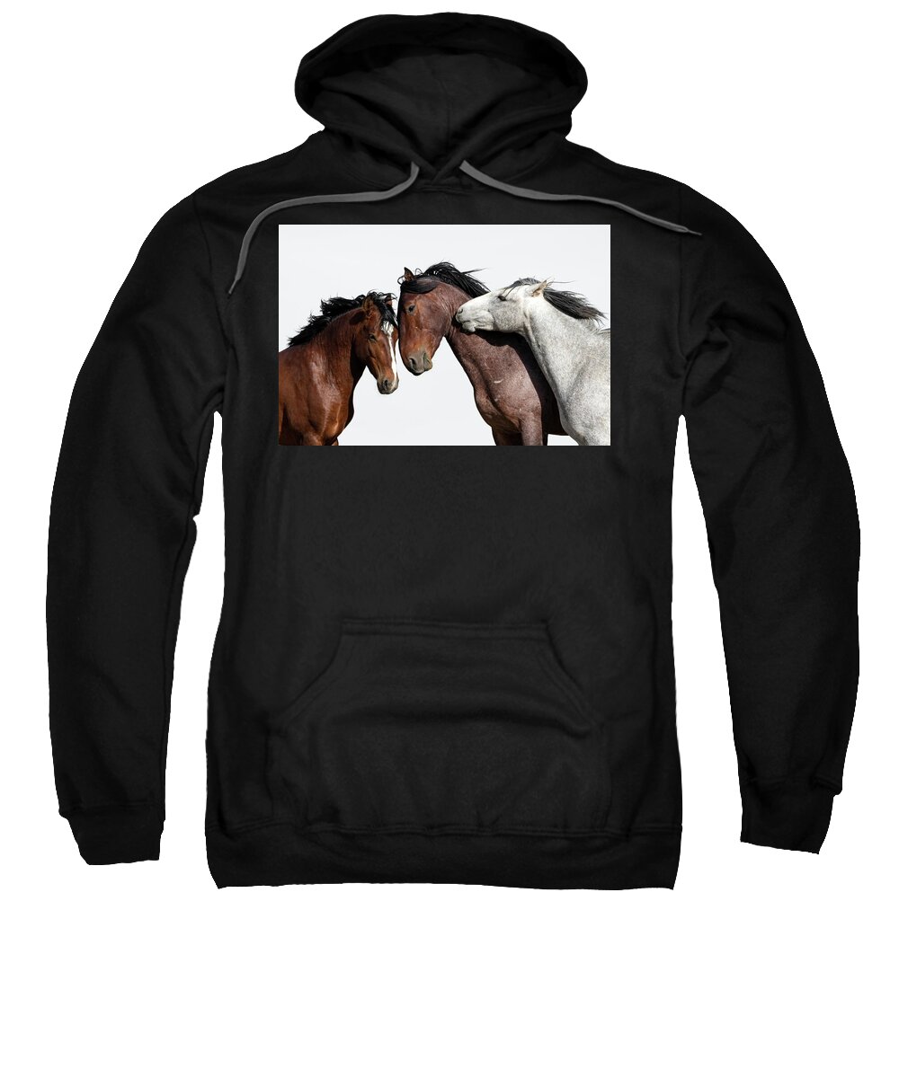 Wild Horses Sweatshirt featuring the photograph Emotion 2 by Mary Hone