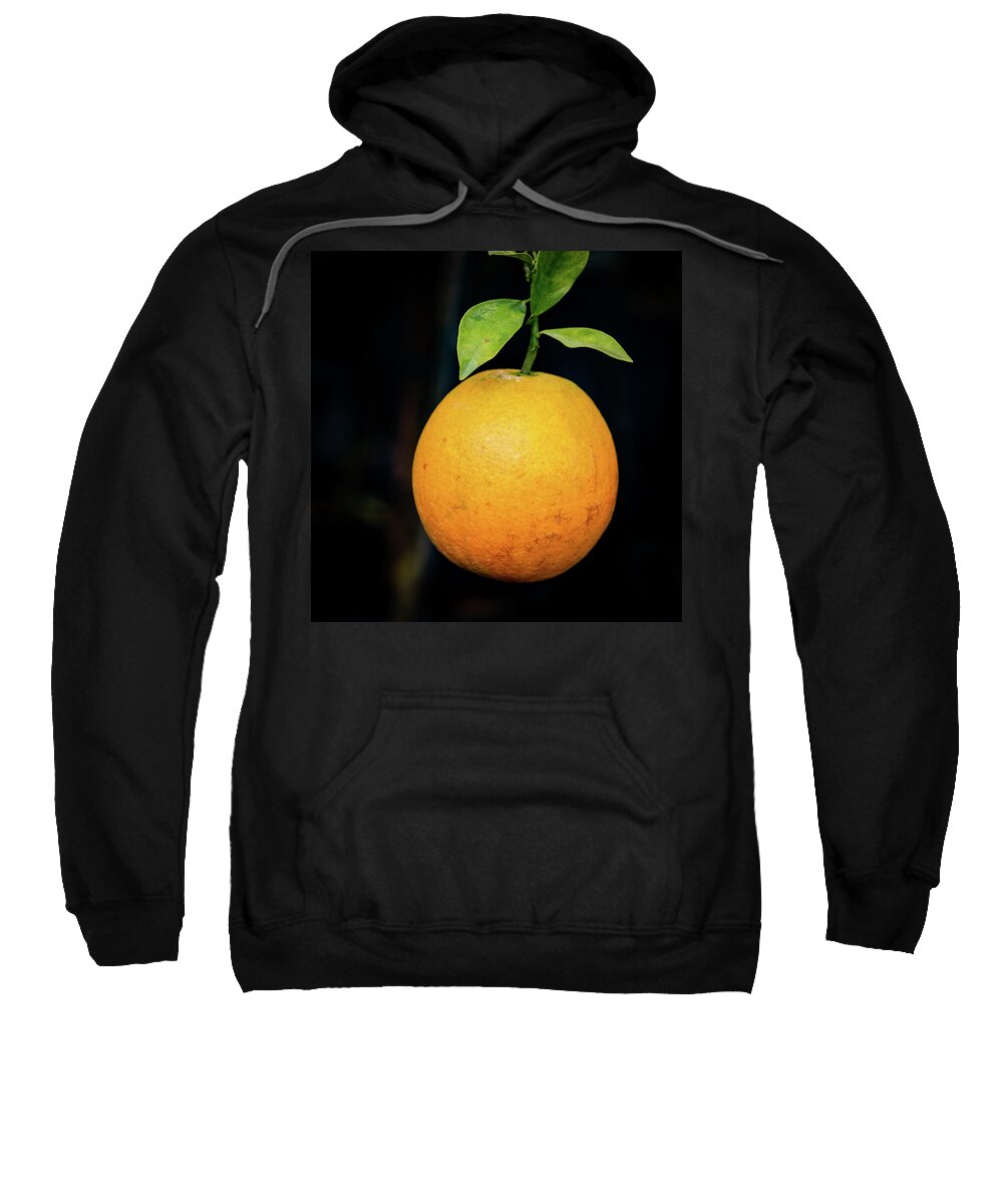 Orange Sweatshirt featuring the photograph Florida Orange by Bradford Martin