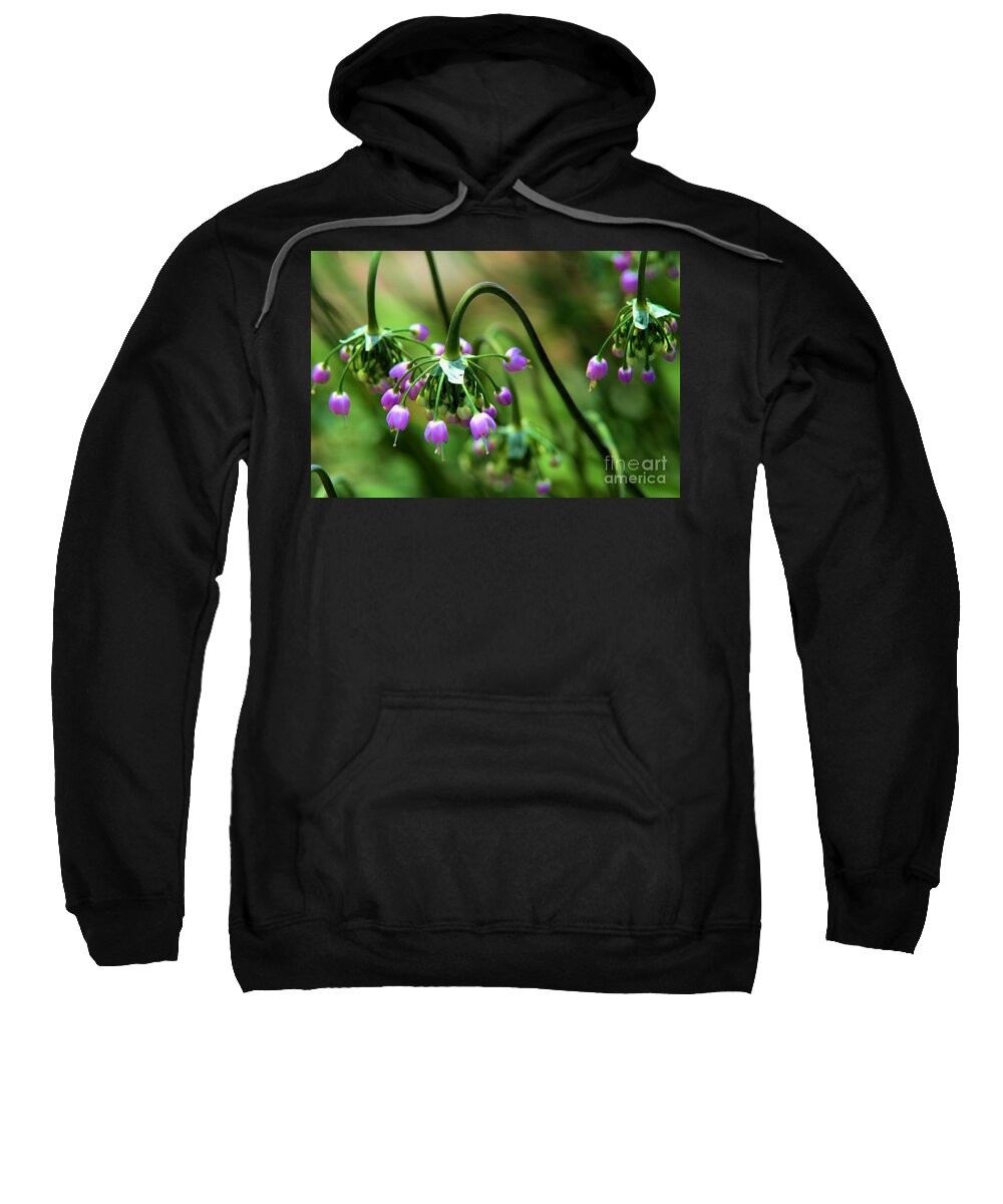 Allium Sweatshirt featuring the photograph Graceful Stem and blooms by Kae Cheatham