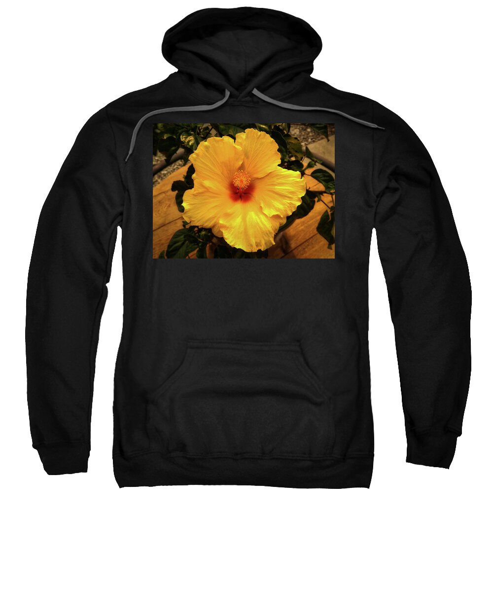 Flower Sweatshirt featuring the photograph Hibiscus by Dan Eskelson