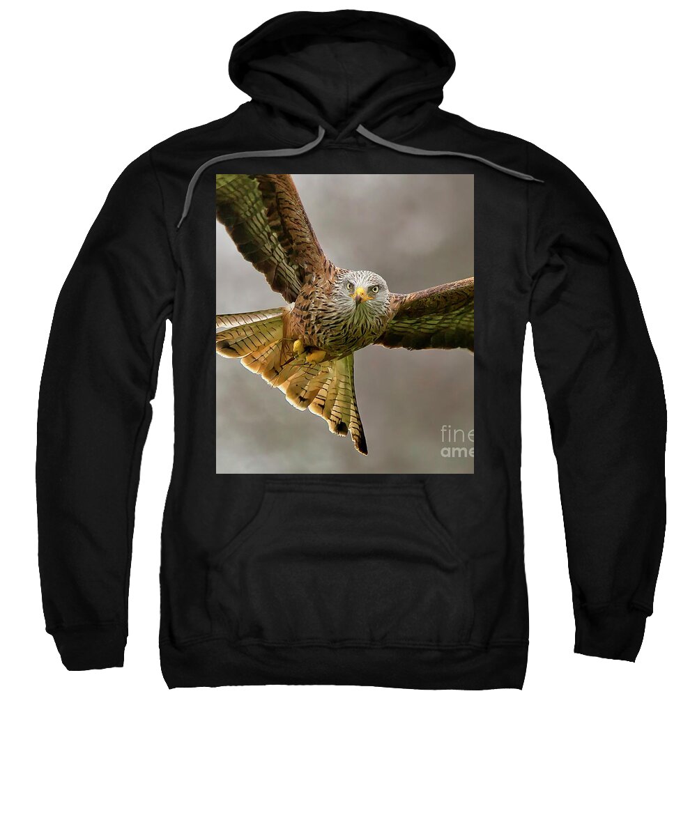 Red Kite Sweatshirt featuring the photograph Homing in, Red Kite Milvus milvus by Tony Mills