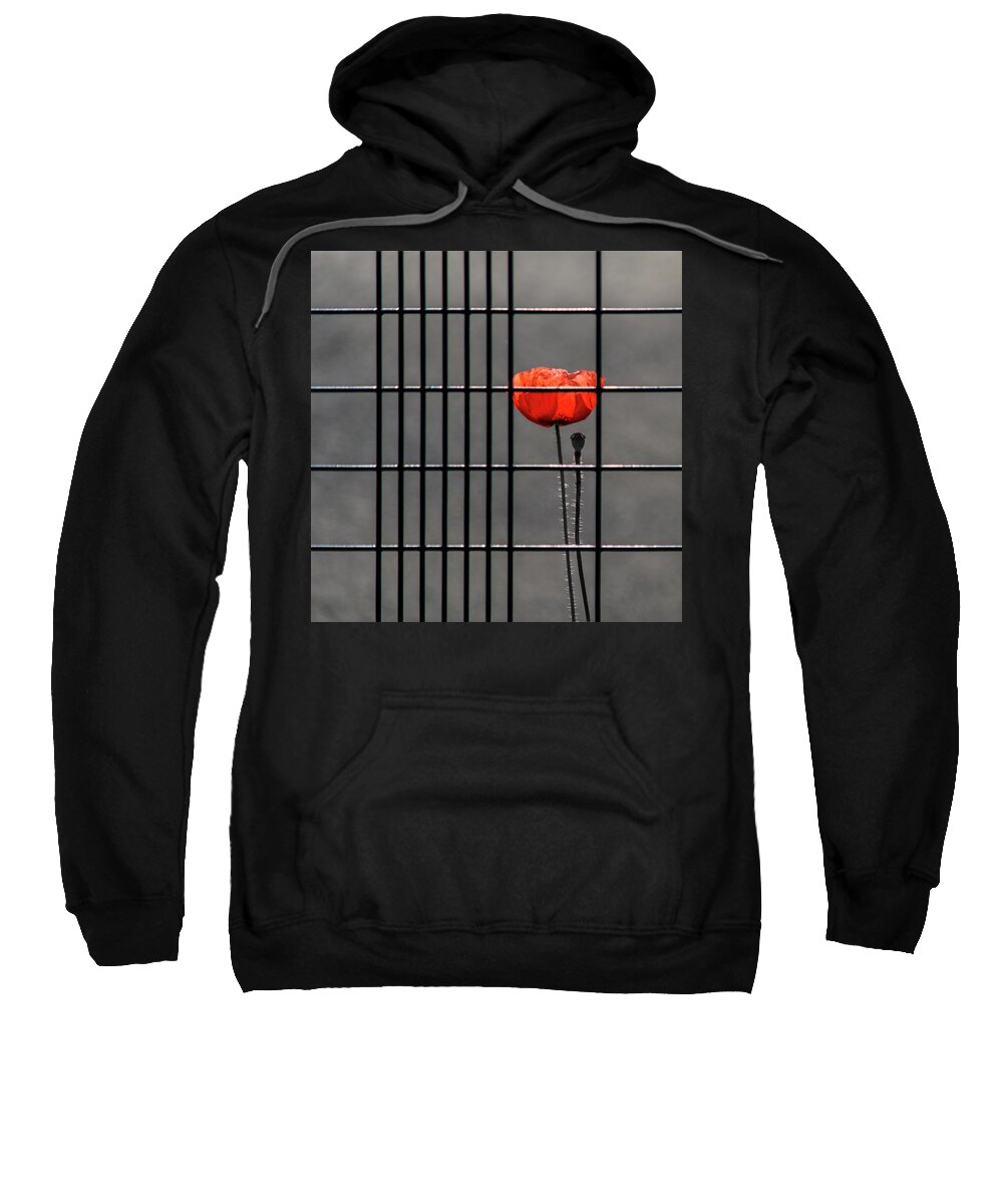 Poppy Sweatshirt featuring the photograph Square - Imprisoned Poppy by Stuart Allen