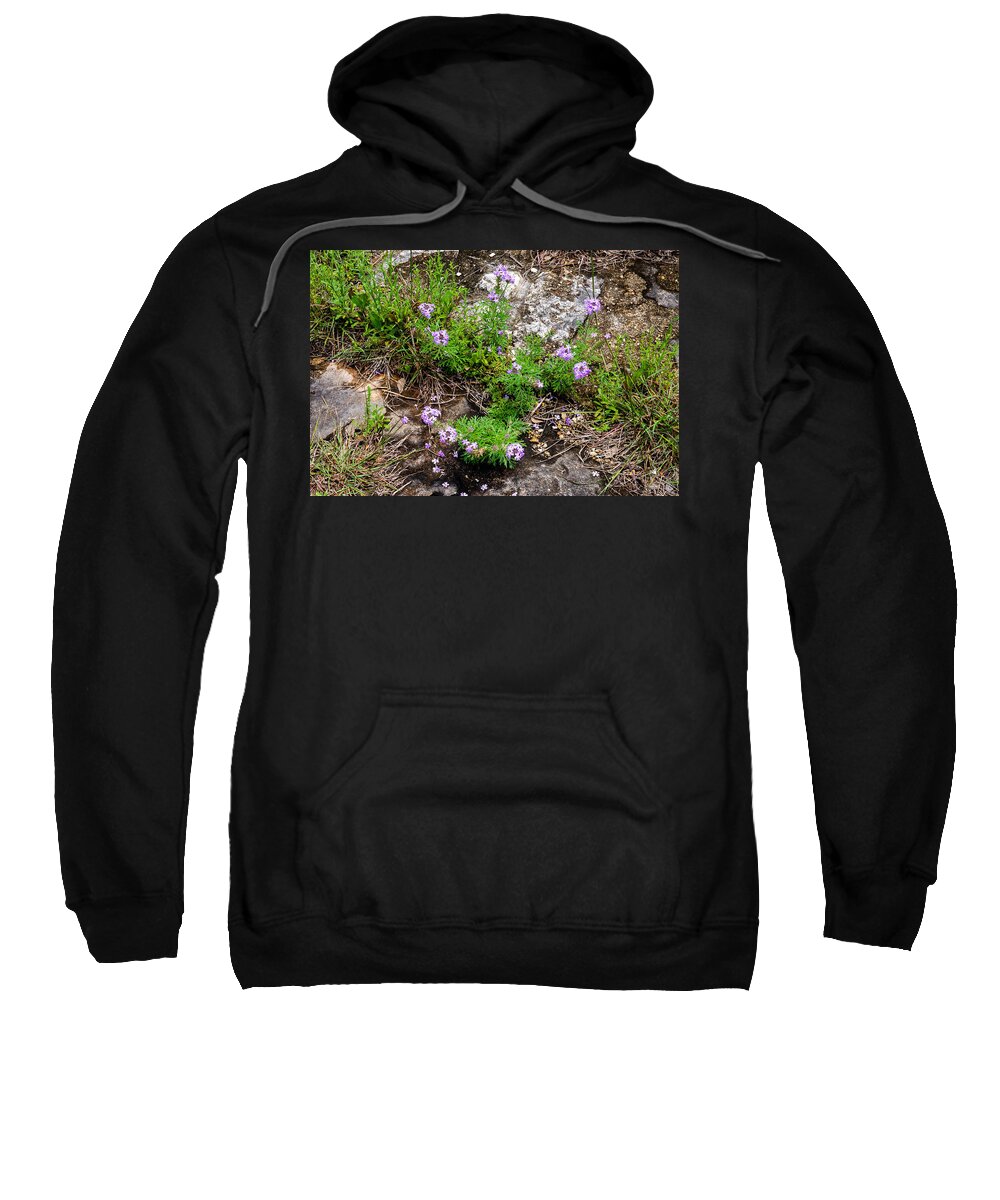 Weeds Sweatshirt featuring the photograph In the Middle of the Old Road by Ivars Vilums