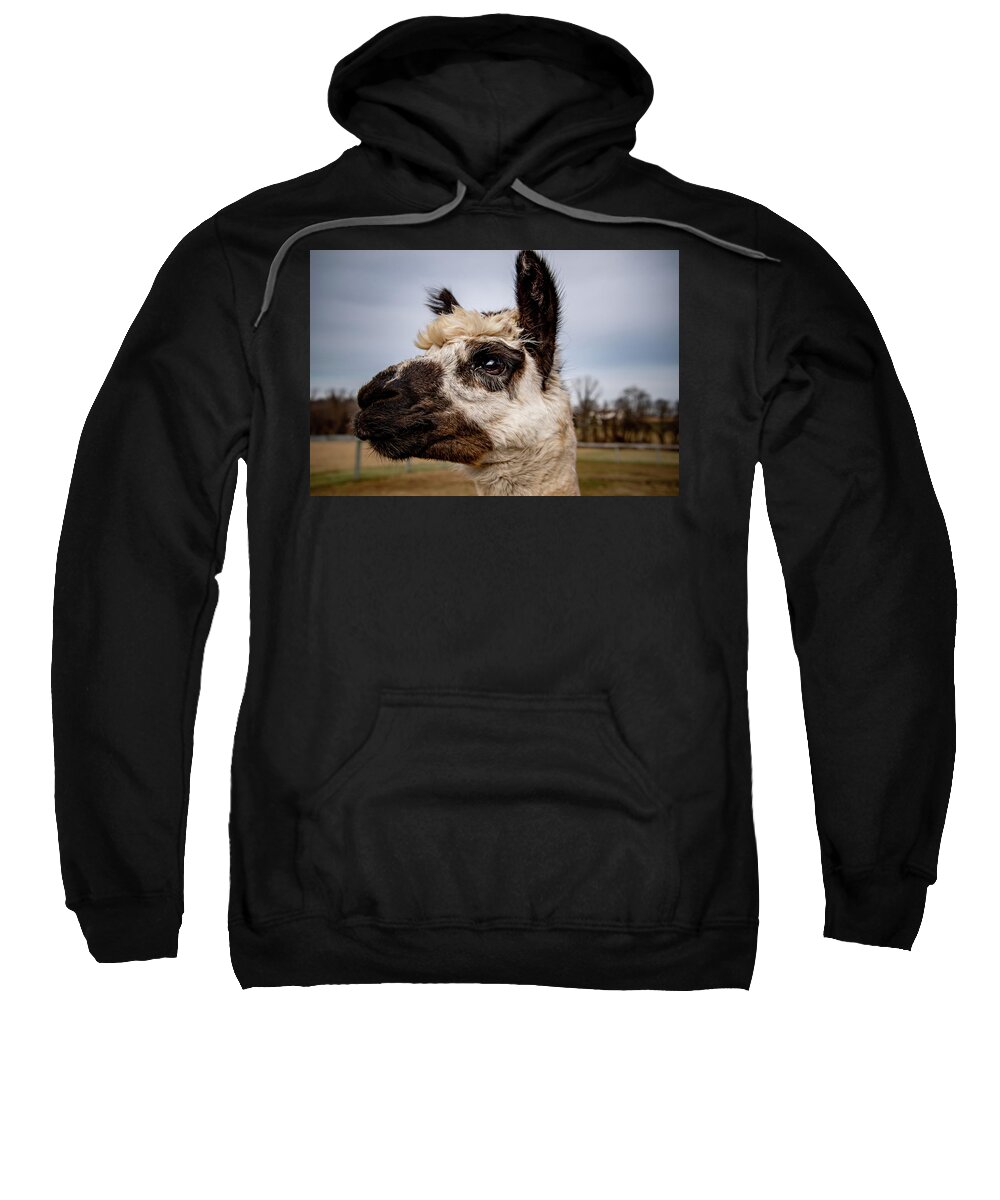 Alpaca Sweatshirt featuring the photograph It's All in the Eyes by Rose Guinther