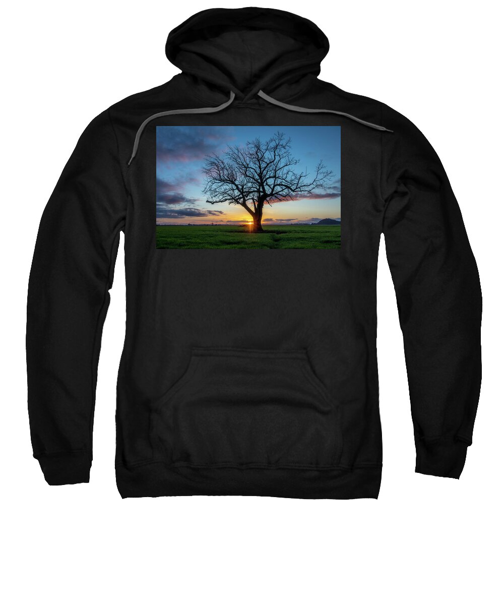Tree Sweatshirt featuring the photograph Last Light on an Oak Tree by Catherine Avilez