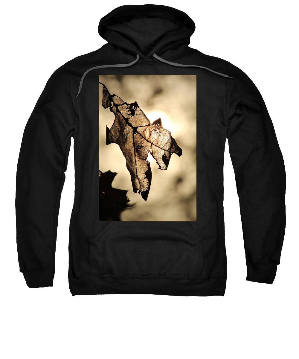 Jane Ford Sweatshirt featuring the photograph Leaf in fall by Jane Ford
