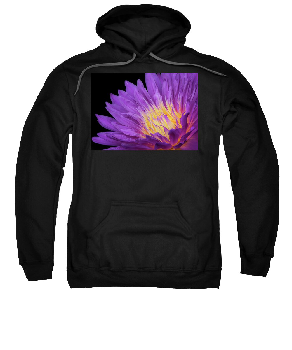 Water Lily Sweatshirt featuring the photograph Let there be Light by Sylvia Goldkranz