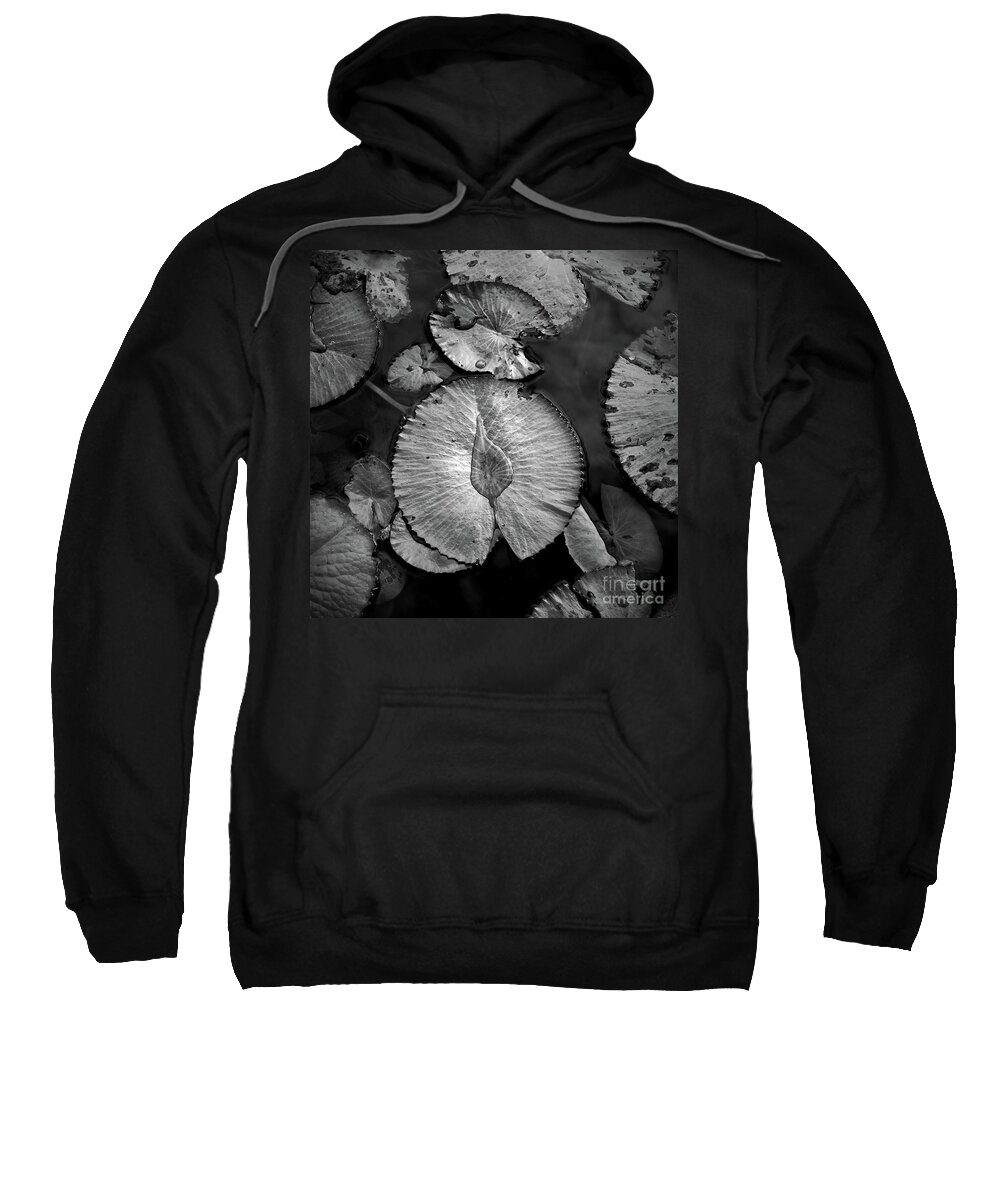 Lily Pads Sweatshirt featuring the photograph Lily pads After the Rain by Neala McCarten