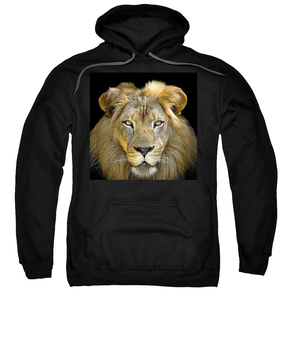 Lion Sweatshirt featuring the photograph Lion King by Cheri Freeman