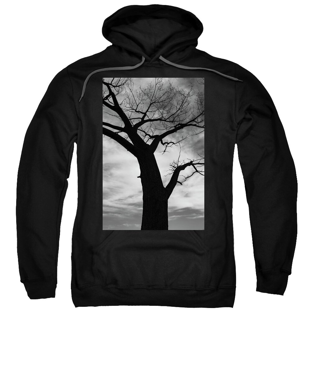 Bosque Del Apache Sweatshirt featuring the photograph Looking Skyward by Maresa Pryor-Luzier