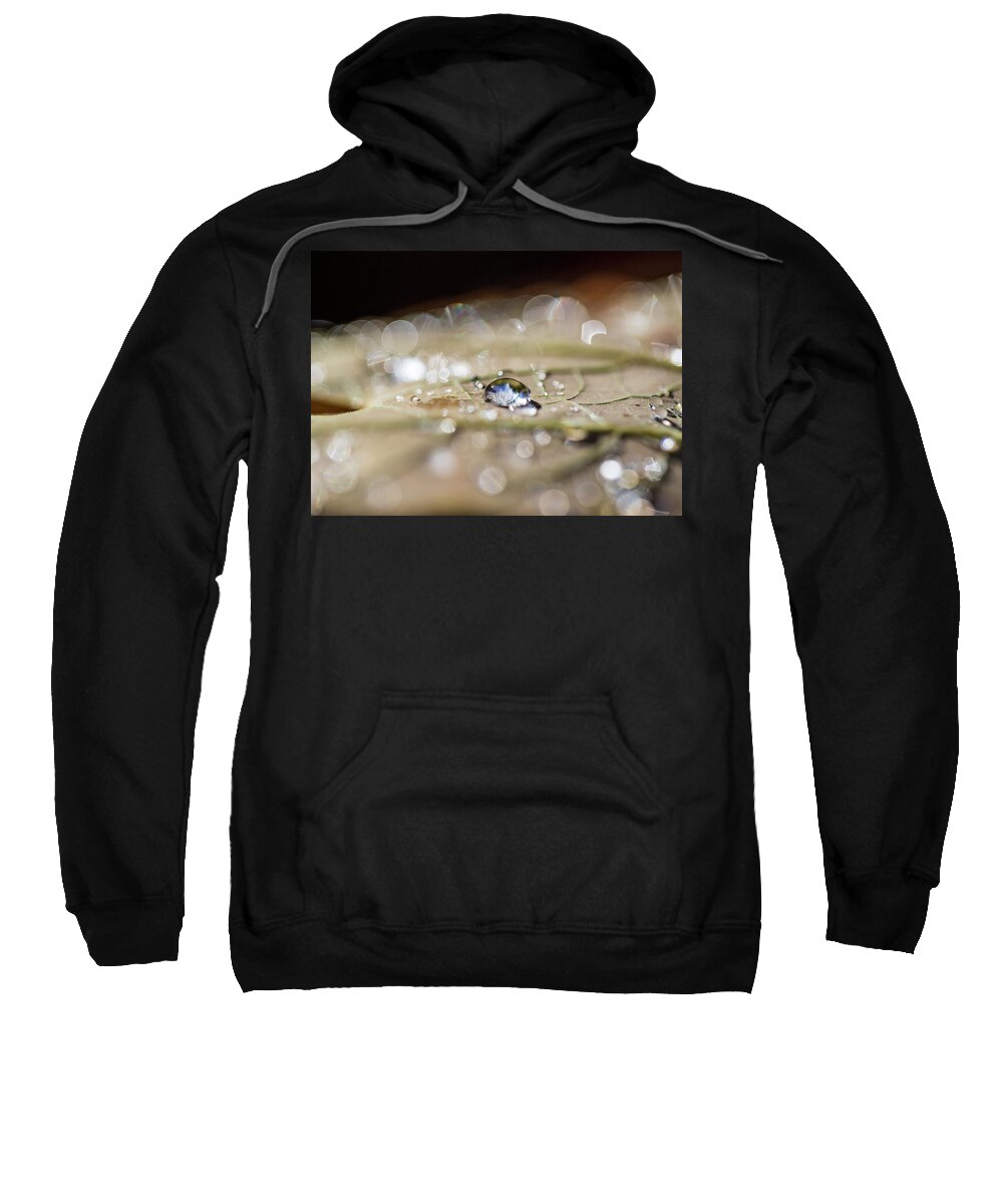 Plants Sweatshirt featuring the photograph Macro Photography - Water Drops on Leaf by Amelia Pearn