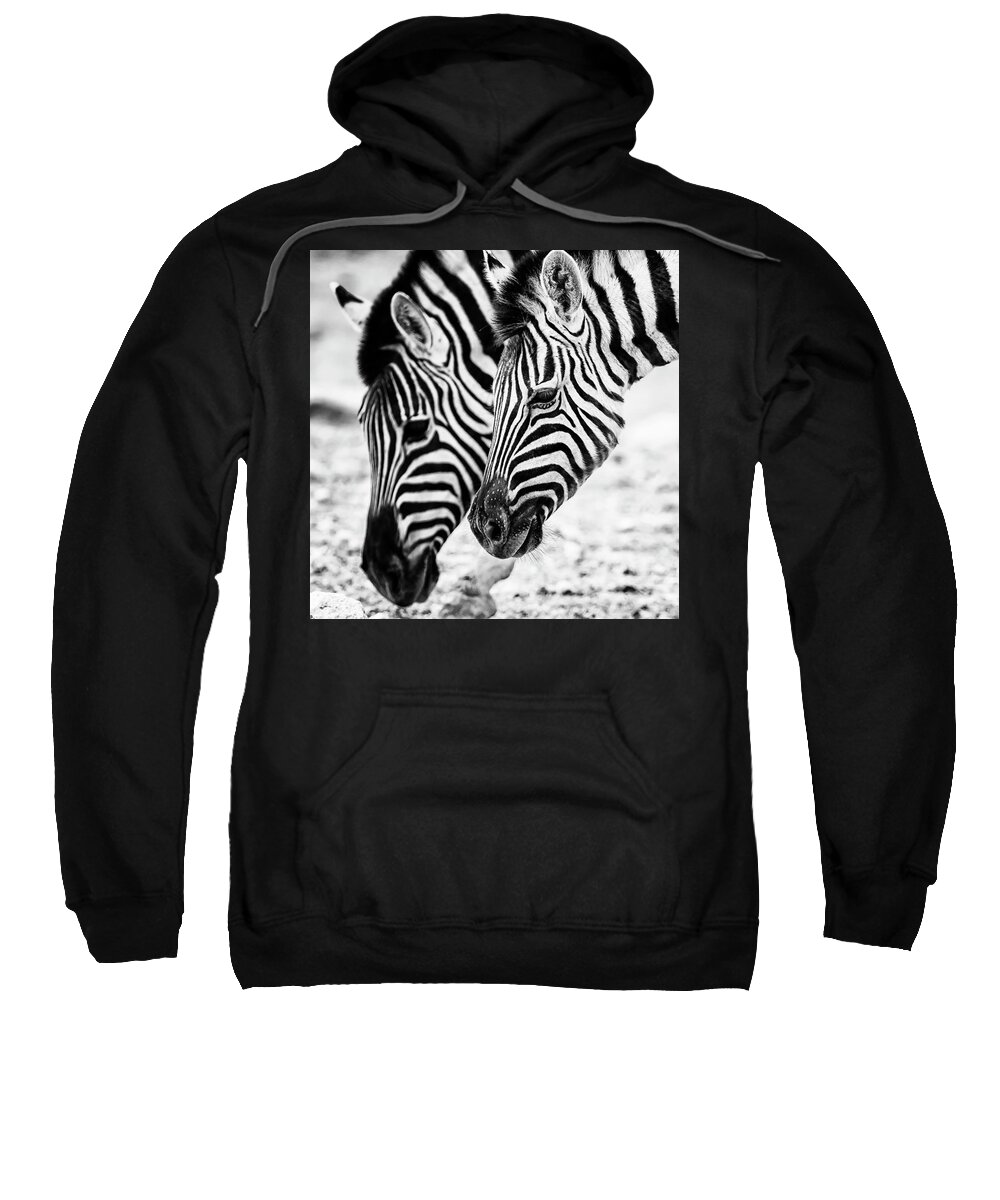 Plains Zebra Sweatshirt featuring the photograph Markings on a Zebra's Face by Belinda Greb