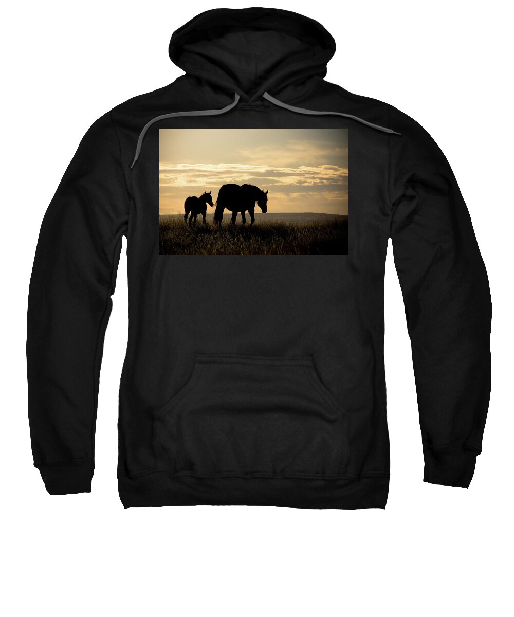 Horses Sweatshirt featuring the photograph Mother Horse and Foal in sunset by Naomi Maya