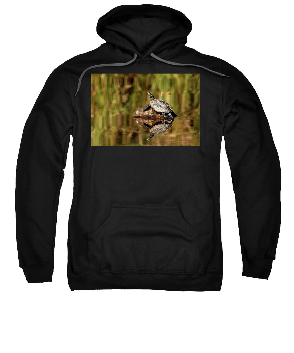 Turtles Sweatshirt featuring the photograph Northern Map Turtle by Debbie Oppermann