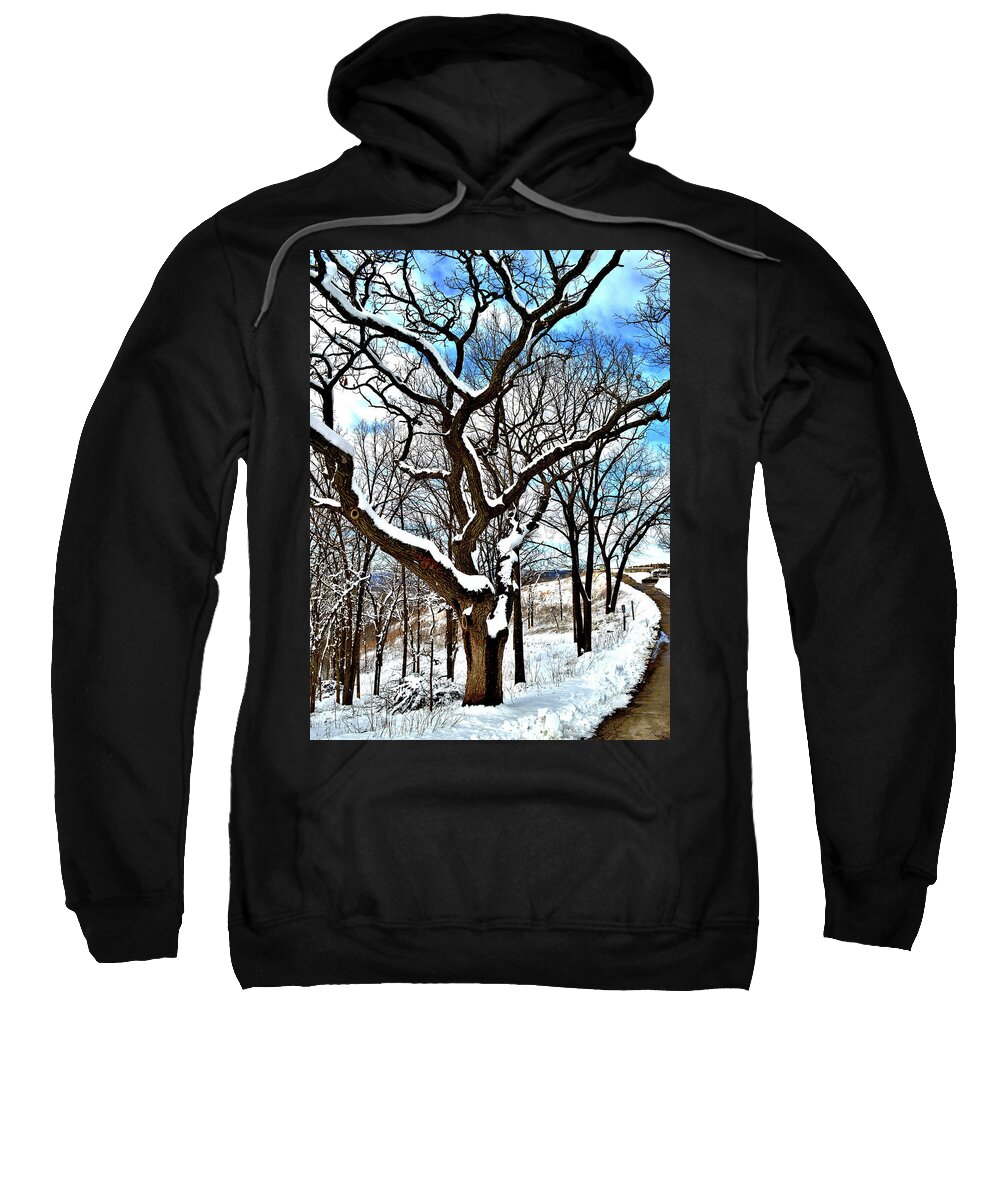 Paths Sweatshirt featuring the photograph Path To The Lookout by Susie Loechler