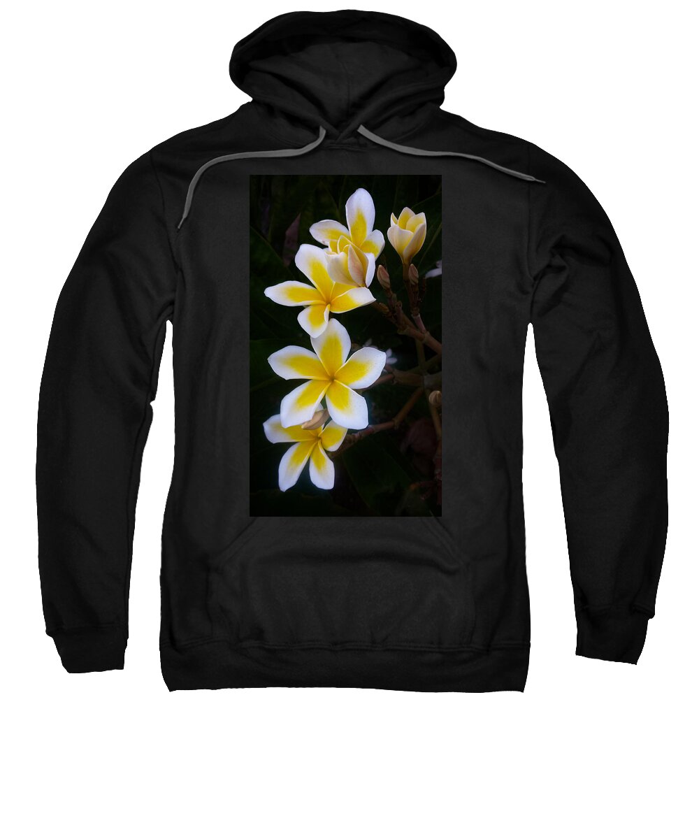 Plumeria Sweatshirt featuring the photograph Plumeria in Bloom by Bonny Puckett