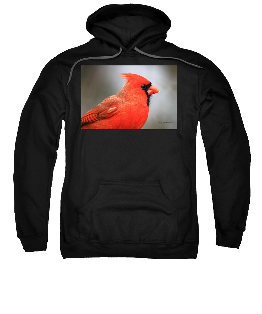 Birds Wildlife Nature Sweatshirt featuring the photograph Portrait of a Cardinal by Mary Walchuck