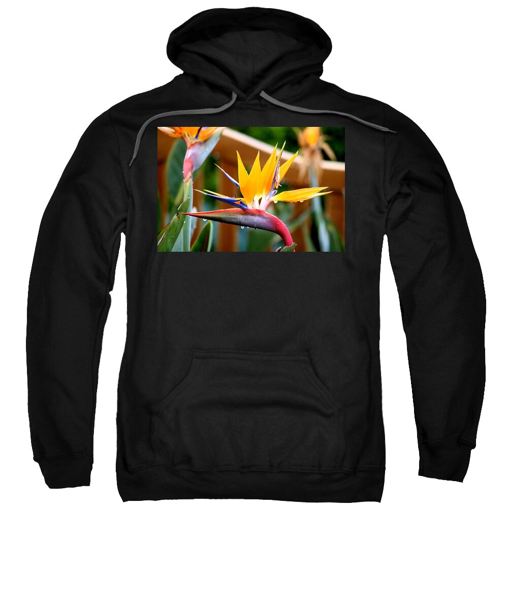 Flowers Sweatshirt featuring the photograph Raindrops falling off Birds of Paradise Flower by LaDonna McCray