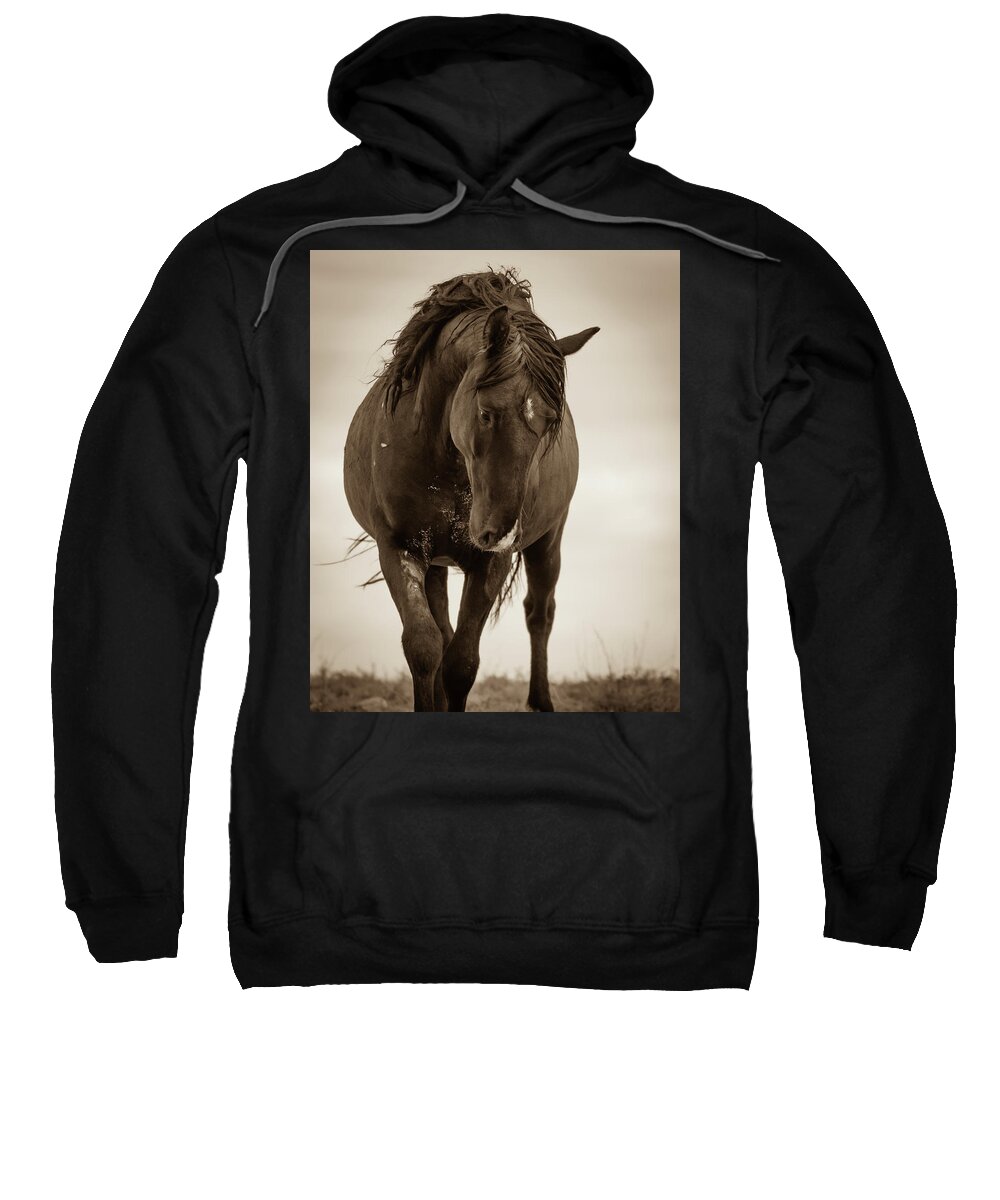 Wild Horses Sweatshirt featuring the photograph Reverence by Mary Hone