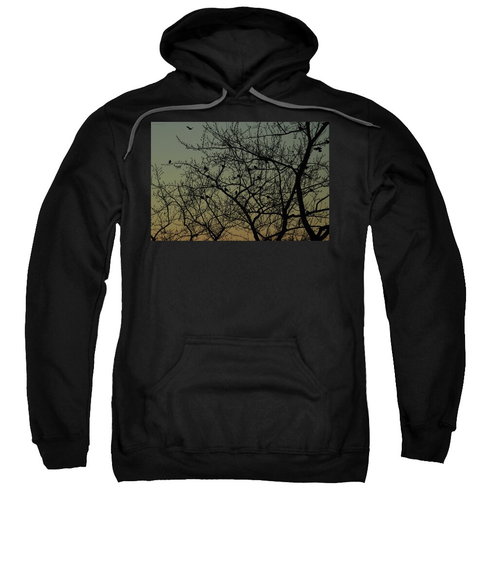 Dawn Sweatshirt featuring the photograph Robins at Dawn Gather and Fly February 21 2021 by Miriam A Kilmer