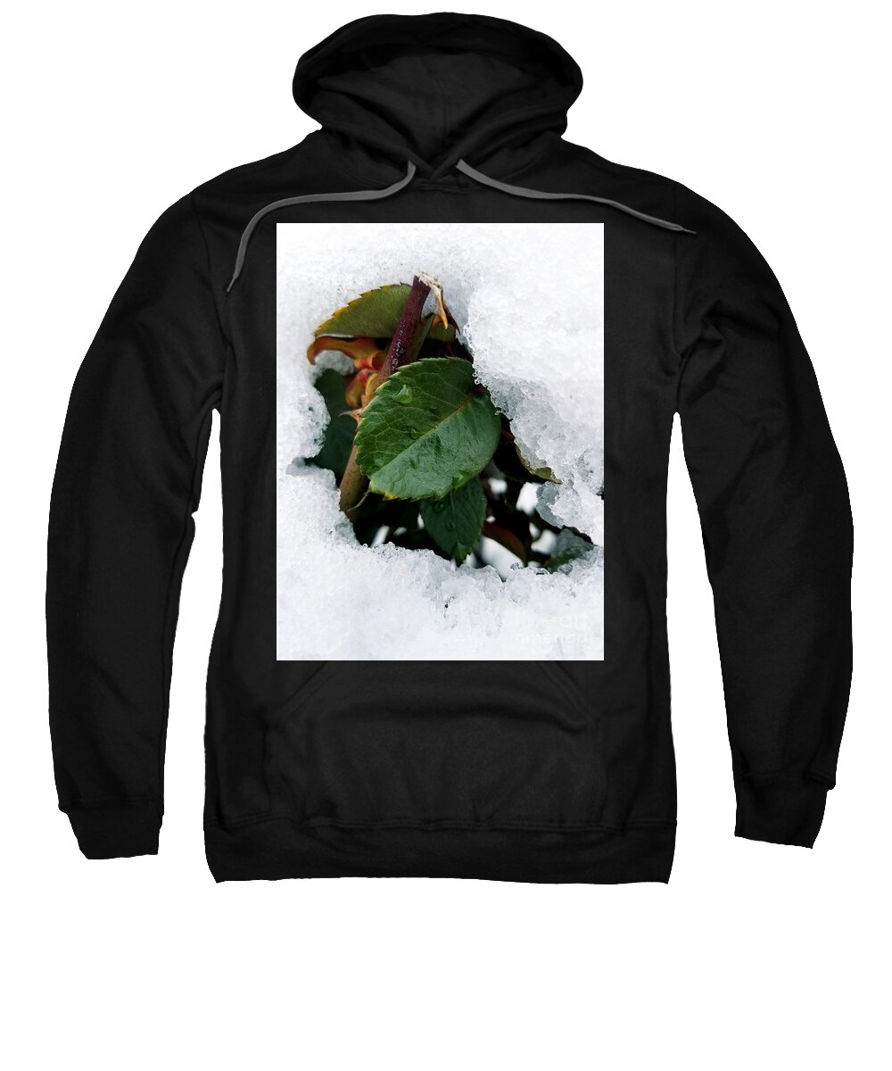 Snow Sweatshirt featuring the digital art Sneaking out by Yenni Harrison