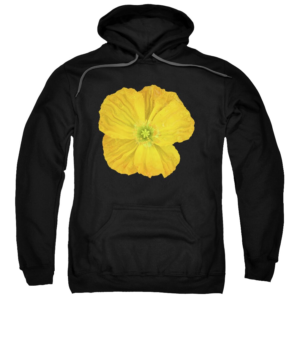 Nasturtium Sweatshirt featuring the photograph Solitary Nasturtium Bloom On Black by Deborah League