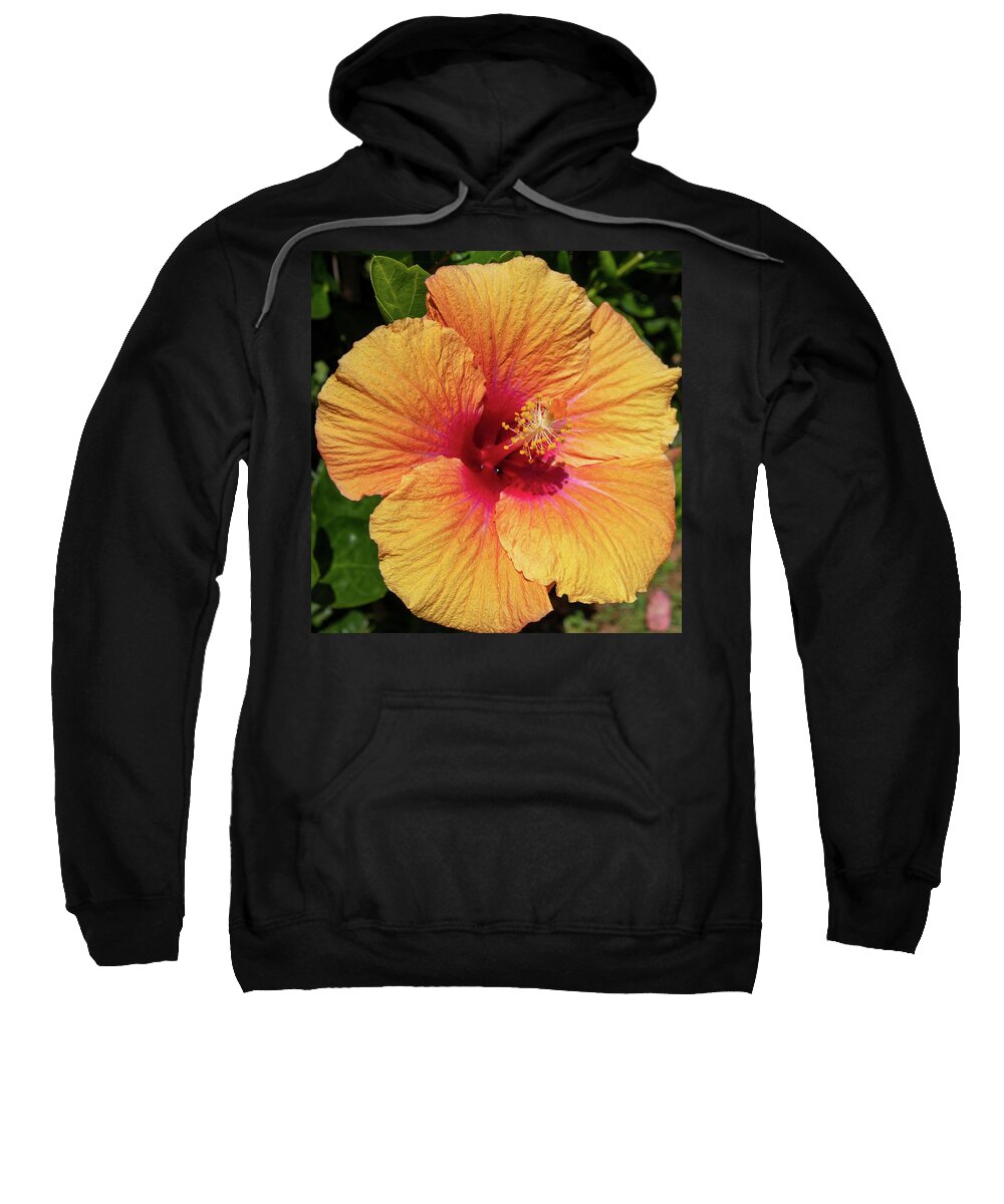 Hibiscus Sweatshirt featuring the photograph Sun Reflection by Tony Spencer