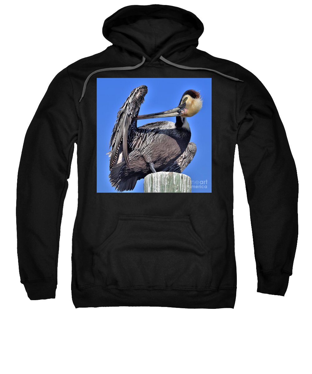 Pelican Sweatshirt featuring the photograph Time to Preen by Joanne Carey