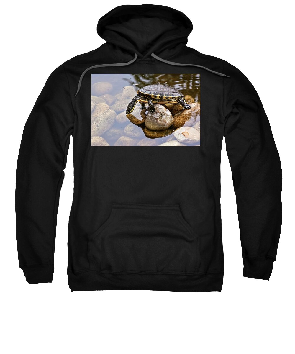 Turtle Sweatshirt featuring the photograph Turtle drinking water by Tatiana Travelways