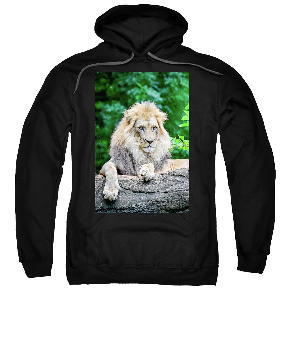 Zoo Sweatshirt featuring the photograph Watchful by Ed Stokes